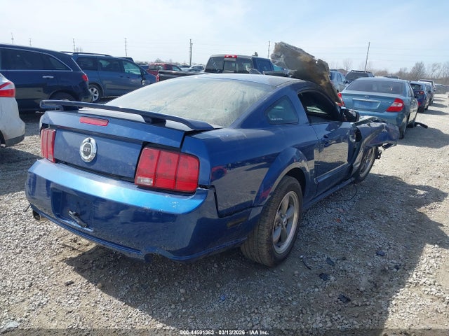 2006 FORD MUSTANG 1ZVFT82H265100953 Photo 3