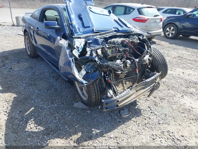 2006 FORD MUSTANG 1ZVFT82H265100953 Photo 5