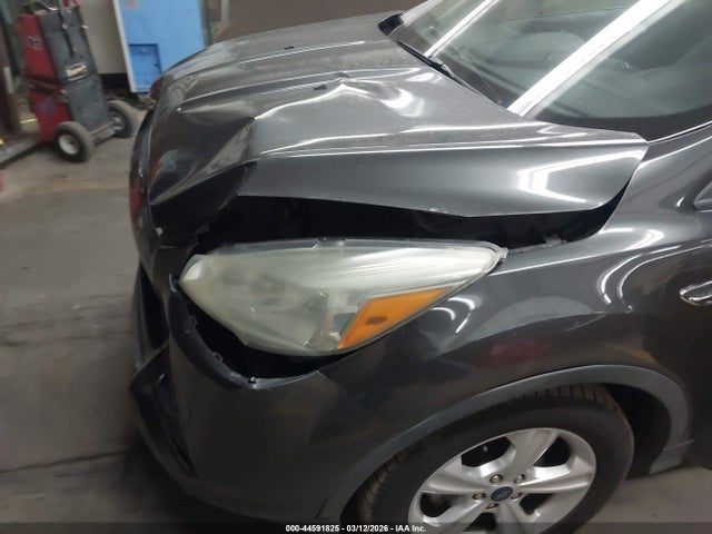 Ford ESCAPE SE 2016 1FMCU0G75GUB14756 Image 6