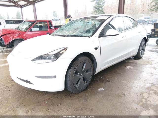 2023 TESLA MODEL 3 5YJ3E1EA8PF565050 Photo 1
