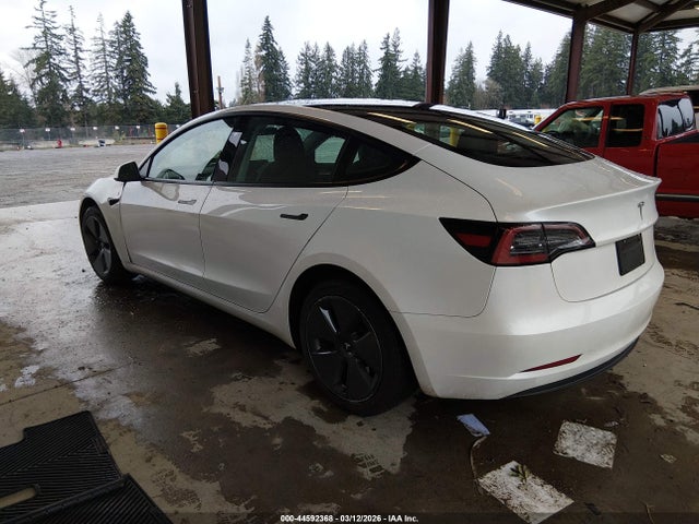 2023 TESLA MODEL 3 5YJ3E1EA8PF565050 Photo 2