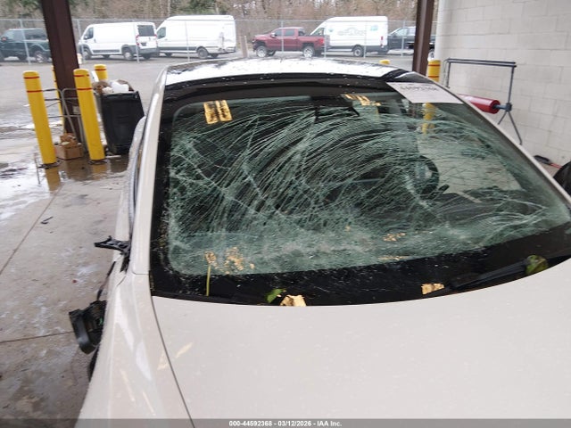2023 TESLA MODEL 3 5YJ3E1EA8PF565050 Photo 5
