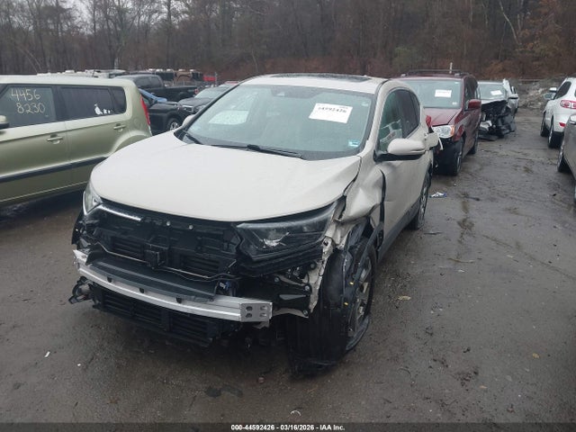 Aukcja sprzedaży 2019 Honda Cr-v Ex-l, vin: 2HKRW2H84KH644151, numer aukcji: 44592426