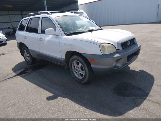 2004 HYUNDAI SANTA FE KM8SC73E64U698253