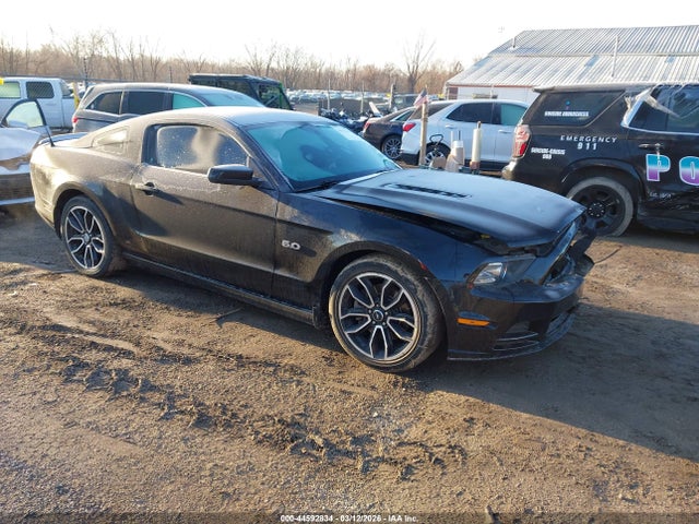 2013 FORD MUSTANG 1ZVBP8CF7D5278242