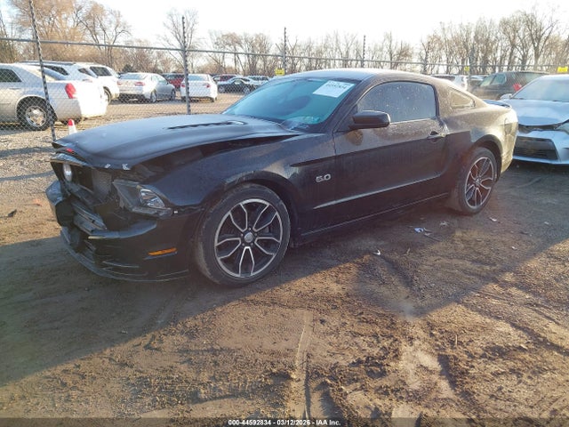 2013 FORD MUSTANG 1ZVBP8CF7D5278242 Photo 1