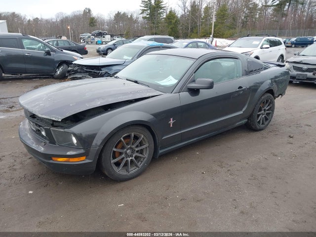 2008 FORD MUSTANG 1ZVHT80N485110095 Photo 1