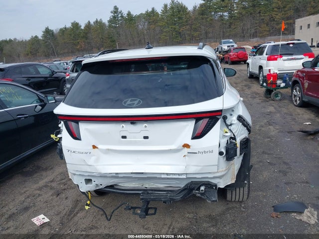 KM8JEDD14SU397803 Hyundai Tucson Hybrid Limited