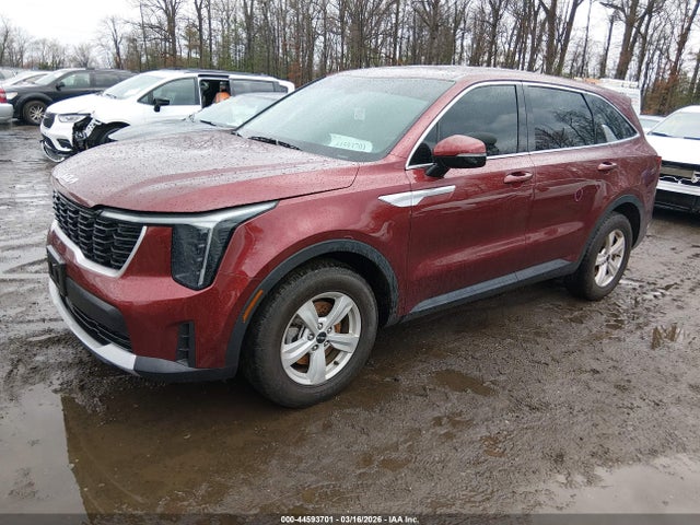 Продаж на аукціоні авто 2024 Kia Sorento Lx, vin: 5XYRG4JC3RG294990, номер лоту: 44593701