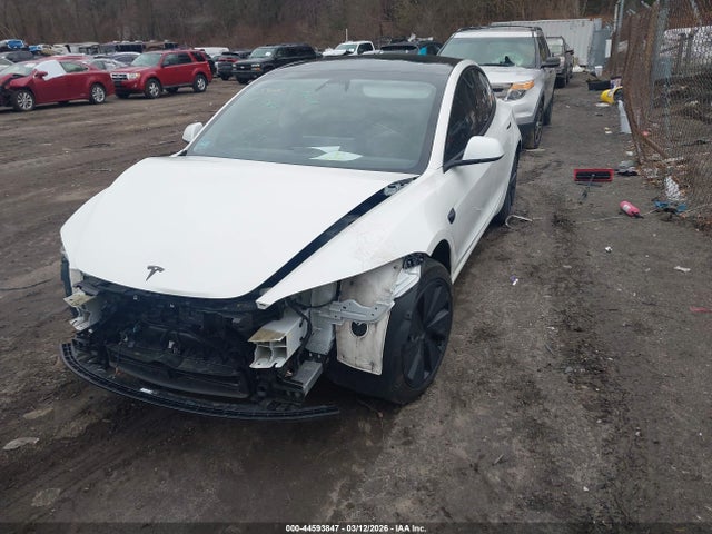 44593847 :رقم المزاد ، 5YJ3E1EA4RF844305 vin ، 2024 Tesla Model 3 مزاد بيع