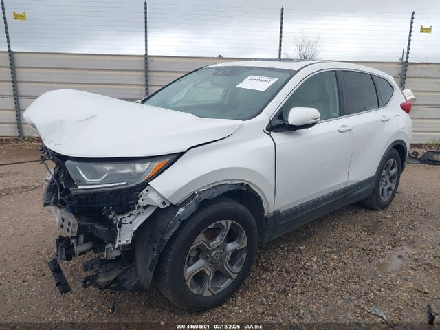 2019 HONDA CR-V 5J6RW1H5XKA024020 Photo 1