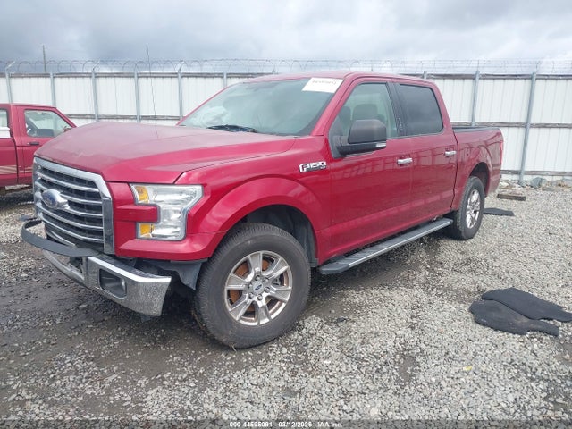2015 FORD F-150 1FTEW1CF1FKF19856 Photo 1