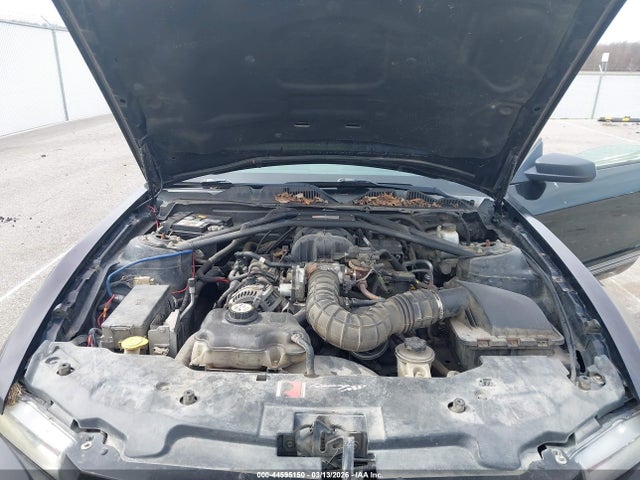 2010 FORD MUSTANG 1ZVBP8EN4A5110686 Photo 9