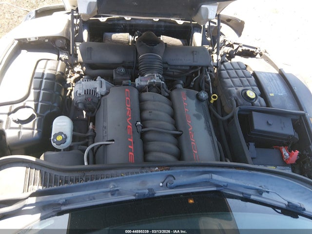 2004 CHEVROLET CORVETTE 1G1YY22G045133912 Photo 9