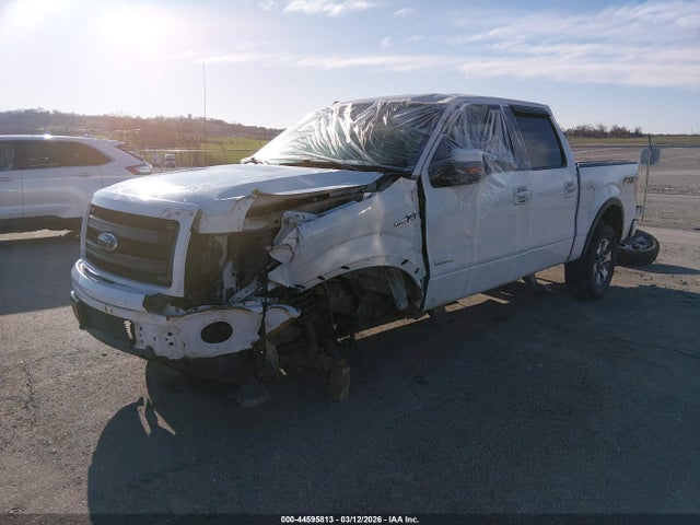 44595813 :رقم المزاد ، 1FTFW1ETXDKG42351 vin ، 2013 Ford F-150 Fx4 مزاد بيع