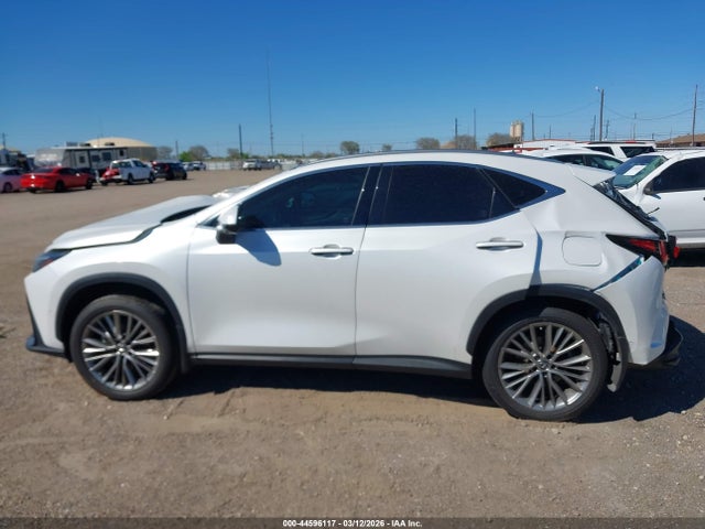 44596117 :رقم المزاد ، JTJHKCEZXN5004117 vin ، 2022 Lexus Nx 350h Luxury مزاد بيع
