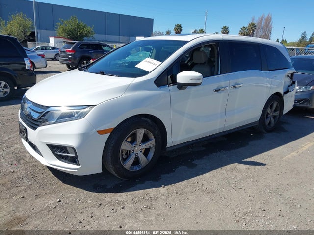 2020 HONDA ODYSSEY 5FNRL6H74LB052062 Photo 1