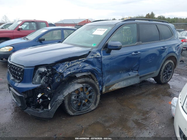 Продажа на аукционе авто 2025 Kia Telluride Ex X-pro, vin: 5XYP3DGC1SG582393, номер лота: 44596248
