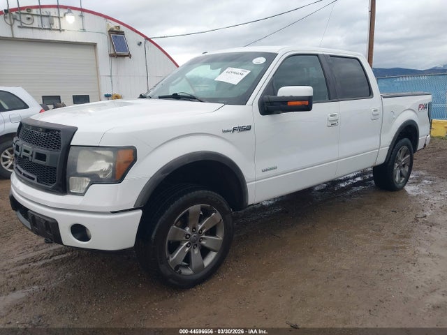 Aukcja sprzedaży 2012 Ford F-150 Fx4, vin: 1FTFW1ET4CKE33699, numer aukcji: 44596656