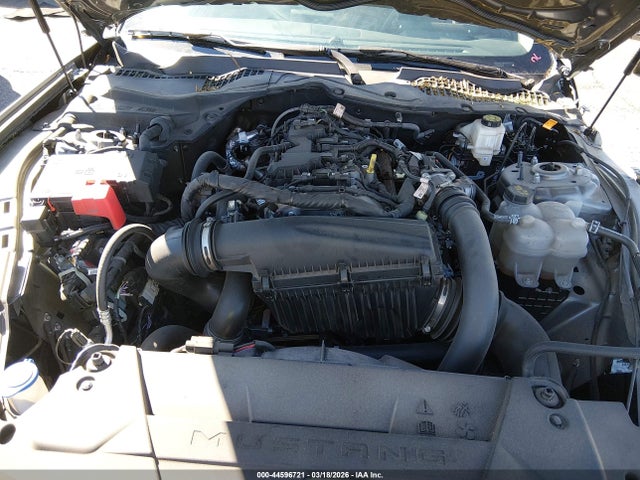 Ford Mustang Ecoboost Fastback 2024 1FA6P8TH7R5137089 Image 10