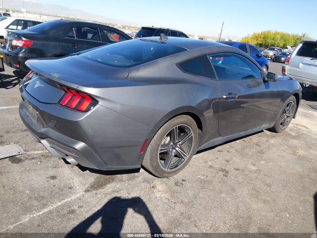 Ford Mustang Ecoboost Fastback 2024 1FA6P8TH7R5137089 Image 4