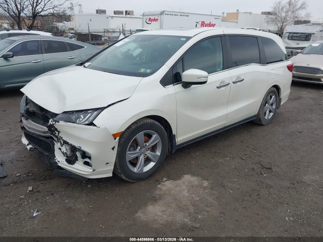 2019 HONDA ODYSSEY 5FNRL6H75KB024012 Photo 1