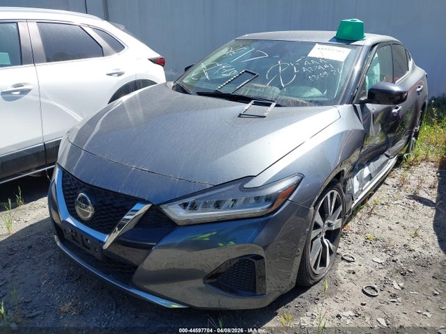 2020 NISSAN MAXIMA 1N4AA6BV8LC381960 Photo 1