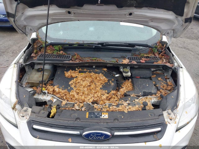 Ford ESCAPE SE 2016 1FMCU0GX4GUB61129 Image 10