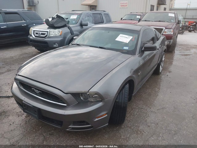 1ZVBP8AM8E5274624 Ford Mustang V6