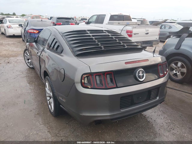 1ZVBP8AM8E5274624 Ford Mustang V6