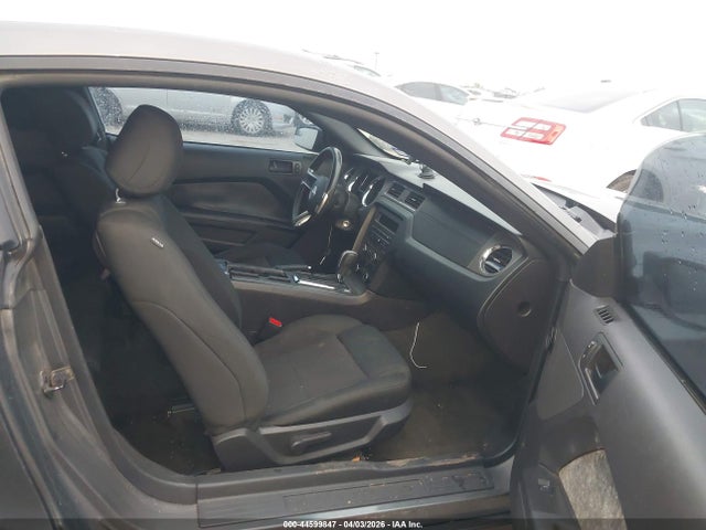 1ZVBP8AM8E5274624 Ford Mustang V6