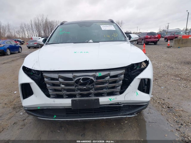 Aukcja sprzedaży 2023 Hyundai Tucson Limited, vin: 5NMJECAE2PH209476, numer aukcji: 44600362
