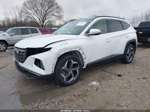 Aukcja sprzedaży 2023 Hyundai Tucson Limited, vin: 5NMJECAE2PH209476, numer aukcji: 44600362