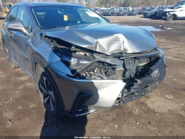 Продаж на аукціоні авто 2018 Lexus Nx 300h, vin: JTJBJRBZXJ2093053, номер лоту: 44600647
