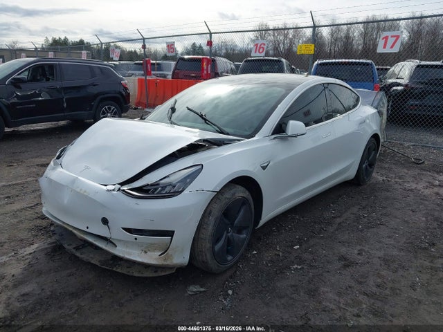 2020 TESLA MODEL 3 5YJ3E1EB7LF665434 Photo 1
