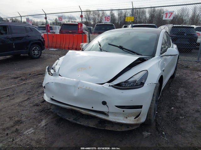 2020 TESLA MODEL 3 5YJ3E1EB7LF665434 Photo 5