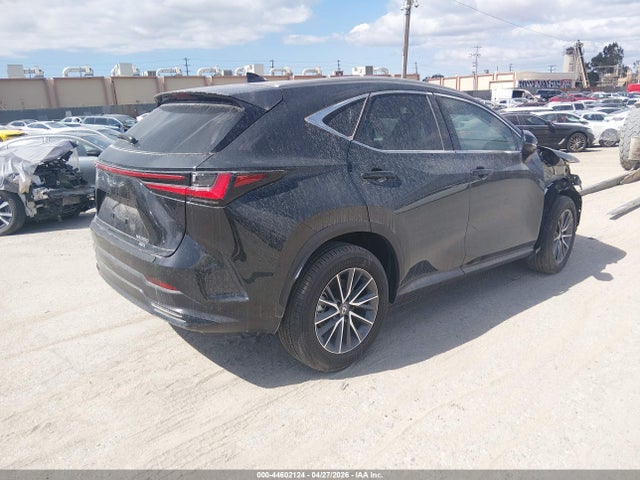 2024 LEXUS NX 350 2T2GGCEZ4RC043791 Photo 3