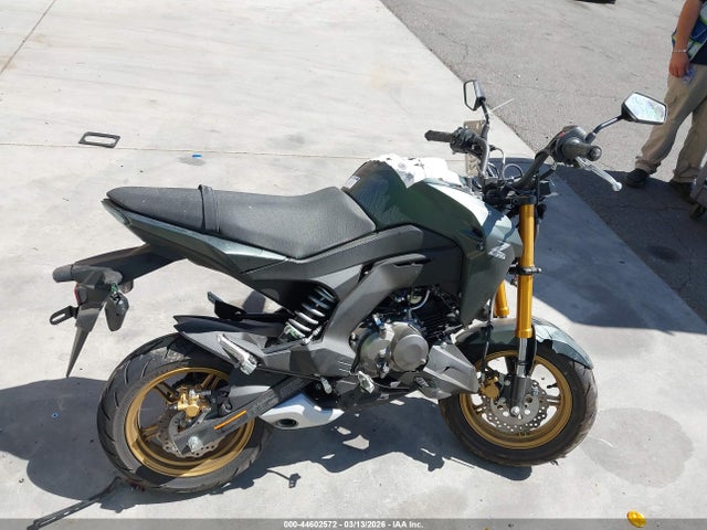 Kawasaki Br125 J 2025 JKABRRJ13SDA34498 Image 13