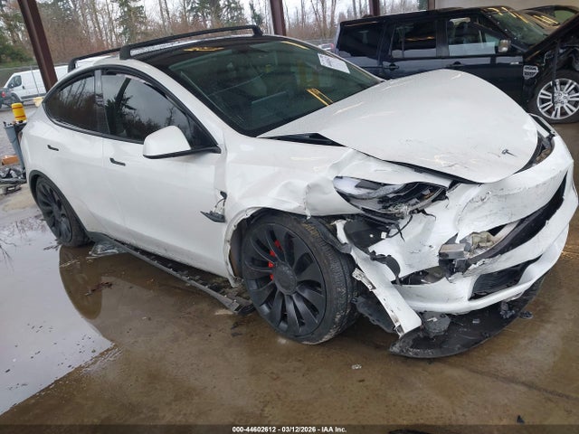 2023 TESLA MODEL Y 7SAYGDEF1PF688320 Photo 0