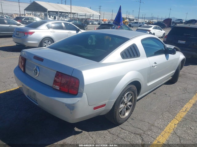2005 FORD MUSTANG 1ZVFT80N955116638 Photo 3