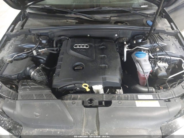 2013 AUDI ALLROAD WA19FAFL6DA206432 Photo 9