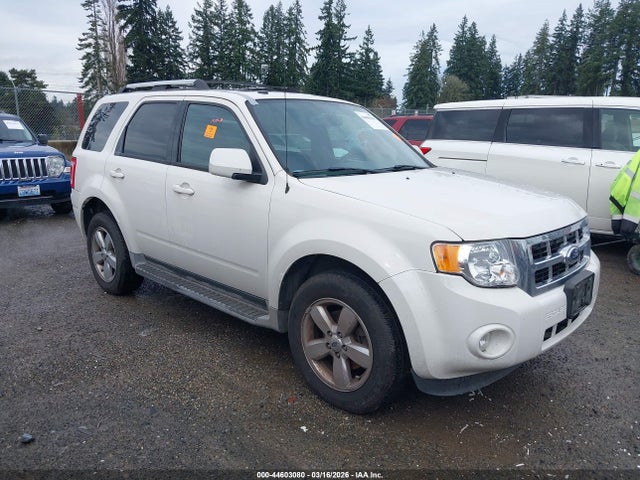 2011 FORD ESCAPE 1FMCU0EG9BKB29137