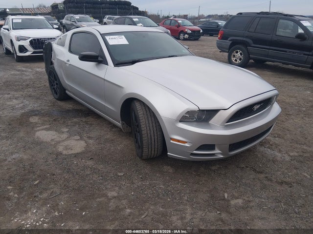 1ZVBP8AM9E5287513 Ford Mustang V6/v6 Premium
