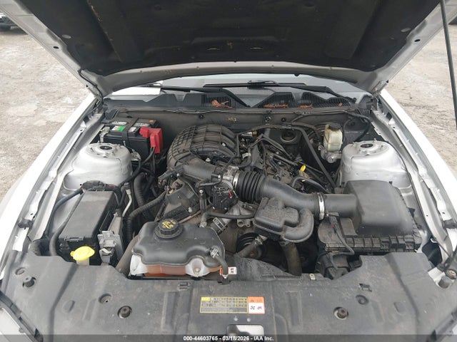 1ZVBP8AM9E5287513 Ford Mustang V6/v6 Premium