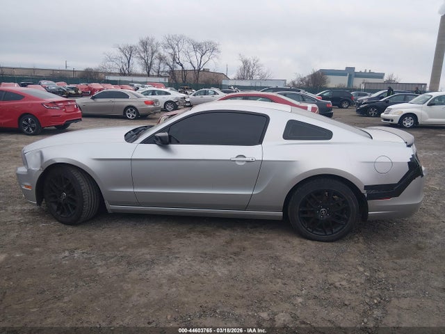 1ZVBP8AM9E5287513 Ford Mustang V6/v6 Premium