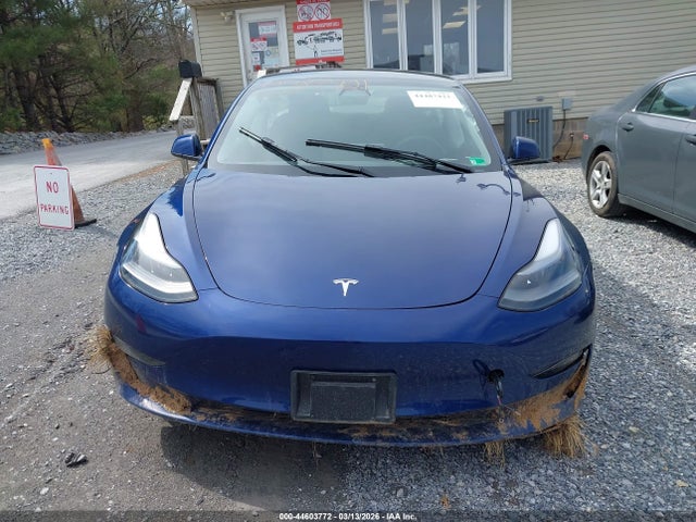 Продаж на аукціоні авто 2023 Tesla Model 3 Long Range Dual Motor All-wheel Drive, vin: 5YJ3E1EB1PF693204, номер лоту: 44603772