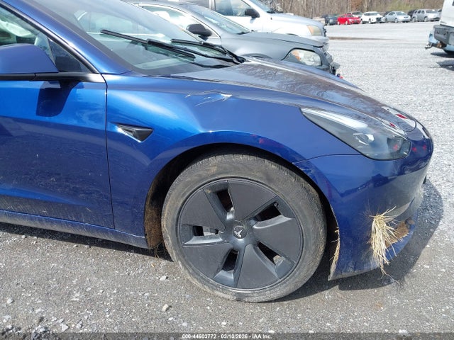 Продаж на аукціоні авто 2023 Tesla Model 3 Long Range Dual Motor All-wheel Drive, vin: 5YJ3E1EB1PF693204, номер лоту: 44603772