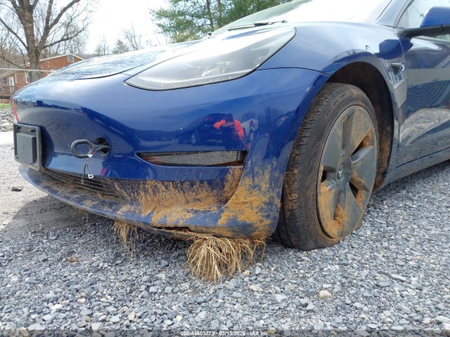 Продаж на аукціоні авто 2023 Tesla Model 3 Long Range Dual Motor All-wheel Drive, vin: 5YJ3E1EB1PF693204, номер лоту: 44603772
