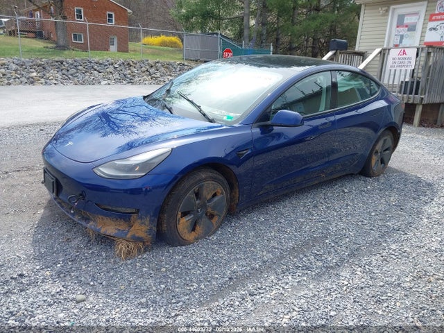 Продаж на аукціоні авто 2023 Tesla Model 3 Long Range Dual Motor All-wheel Drive, vin: 5YJ3E1EB1PF693204, номер лоту: 44603772