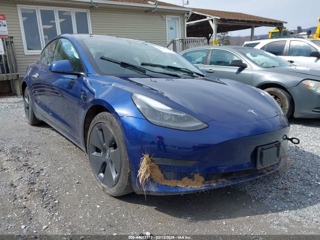 Продаж на аукціоні авто 2023 Tesla Model 3 Long Range Dual Motor All-wheel Drive, vin: 5YJ3E1EB1PF693204, номер лоту: 44603772